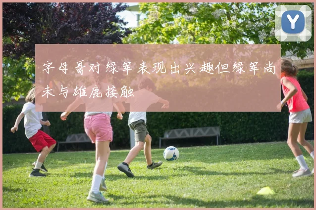 字母哥对绿军表现出兴趣但绿军尚未与雄鹿接触