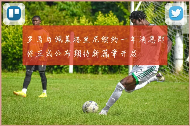 罗马与佩莱格里尼续约一年消息即将正式公布期待新篇章开启